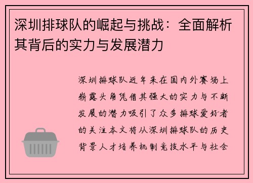 深圳排球队的崛起与挑战：全面解析其背后的实力与发展潜力