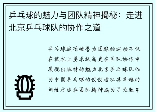 乒乓球的魅力与团队精神揭秘：走进北京乒乓球队的协作之道