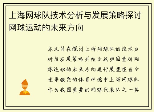 上海网球队技术分析与发展策略探讨网球运动的未来方向